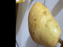 半畝莊園太婆梨新鮮大果4.5斤 茄梨大頭梨子當季水果軟梨整箱香蕉啤梨 曬單實(shí)拍圖