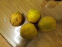 晨木鮮生四川黃檸檬 新鮮大果檸檬 生鮮水果 曬單實(shí)拍圖