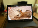 tople適用華為平板Matepad11.5S保護(hù)套pro12.2/11/10.8英寸Air12保護(hù)殼24款SE11/10.4全包磁吸輕薄防摔 粉蝶之戀 華為MatePad 11.5S  2024/2 曬單實(shí)拍圖