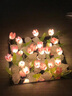 菲享玫瑰花小夜燈520情人節(jié)生日禮物送女友閨蜜創(chuàng)意手工DIY生日手工花 21朵八角紅色玫瑰花小夜燈 【附安裝教程-關(guān)燈鏡子效果】 曬單實拍圖