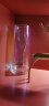 微阳（We Young）北欧式简约玻璃花瓶客厅透明干花绿萝插花器现代摆件餐桌创意装饰 幻彩（水滴款） 实拍图
