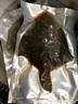 【京東冷鏈】多寶魚(yú)鮮活速凍特大比目魚(yú)新鮮大菱鲆冷凍鴉片魚(yú)整條 小號1條裝 350g 曬單實(shí)拍圖