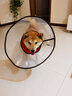 DogLemi狗狗加長加深伊麗莎白圈大狗罩脖圈金毛阿拉斯加防咬防舔脖圈狗 橙色 XL碼（柴犬，秋田中小型型犬） 曬單實拍圖