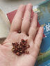 何有理紅花椒青花椒辣椒段大料干辣椒家庭常用調(diào)料3件套裝香料組合150克包郵 紅花椒50克 曬單實拍圖