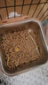 潔西（JESSIE）潔西豚鼠糧荷蘭豬天竺鼠龍貓倉鼠糧食含vc飼料苜蓿草提摩西草糧 潔西天竺鼠糧食2.5千克 曬單實拍圖