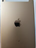 Apple 蘋果平板電腦 iPad mini4 二手平板電腦 金色 128G WiFi+4G 曬單實拍圖