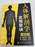 人體解剖學(xué)實(shí)用歌訣（第四版） 曬單實(shí)拍圖