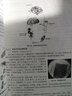 食品微生物學(xué)教程（第2版）/普通高等教育食品科學(xué)與工程類(lèi)“十三五”規劃教材 曬單實(shí)拍圖