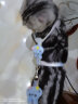 欢宠网猫咪牵引绳猫绳宠物防挣脱可调松紧背心式专用溜遛猫绳子外出用品 实拍图