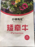 一播大地矮牽?；ǚN子 花籽易種喇叭花花卉種子爬藤垂吊牽?；ǚN子 矮牽牛種子5000粒 曬單實(shí)拍圖