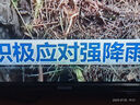 飛利浦（PHILIPS）43英寸全高清智慧屏 臥室小屏 超寬環(huán)繞立體聲 智能液晶平板電視機(jī) 43PFF6590/T3 國(guó)家補(bǔ)貼15% 曬單實(shí)拍圖