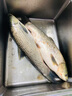 小鳳仙魚(yú)竿包釣魚(yú)輕便攜型皮質(zhì)竿袋魚(yú)竿收納袋漁具專(zhuān)用手竿保護袋裝備 防水皮質(zhì)竿袋薄荷綠【120*9cm】 曬單實(shí)拍圖