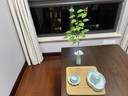 青澹 汝窯茶寵擺件陶瓷全手工景德鎮瓷器嬌蕊小花插 嬌蕊小花插（不開(kāi)片） 曬單實(shí)拍圖