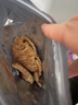 海邊人手撕風(fēng)琴魷魚(yú)絲燒烤香辣大片魷魚(yú)干海鮮即食零食青島特產(chǎn)e 100g 原味風(fēng)琴魷魚(yú) 曬單實(shí)拍圖