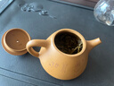 暢陶【暢陶】 紫砂名家藝師陶順清純全手工紫砂茶壺段泥刻繪石瓢300cc 段泥刻繪石瓢·贈養壺巾 300ml 曬單實(shí)拍圖
