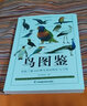 【包郵】鳥圖鑒+蝴蝶圖鑒+觀賞魚圖鑒 鳥圖鑒/鳥類圖鑒野外觀鳥手冊(cè)鳥類輕圖鑒中國鳥類觀察手冊(cè)行為圖鑒生態(tài)大圖鑒識(shí)鳥百科全書  輕松了解410種鳥類的特征與習(xí)性 鳥圖鑒 定價(jià)45 曬單實(shí)拍圖