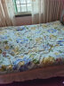 富安娜家纺 床上用品四件套纯棉100%全棉床品套件床单被套 单双人1米5床 实拍图