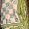 洁丽雅（Grace）A类毛毯加厚法兰绒毯子四季透气空调毯透气毛巾被温馨150*200cm 实拍图