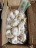 壽禾 小根蒜種子韭蔥干大蒜頭香蒜種籽蔬菜山蒜薤白壽光秋冬季菜籽 農家大蒜（可出蒜薹）2500g 曬單實(shí)拍圖