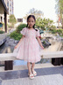 mlgt法國風(fēng)潮童裝 女童連衣裙夏裝2025新款女孩網(wǎng)紗碎花裙兒童公主裙 粉色 160 cm 曬單實(shí)拍圖