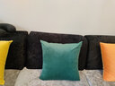 沁汐靠枕天鵝絨輕奢超柔ins靠墊套簡(jiǎn)約大靠背墊客廳絲絨純色沙發(fā)抱枕 祖母綠 55cm*55cm 含枕芯 曬單實(shí)拍圖