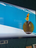戴爾（DELL）P2725DE 27英寸2K顯示器IPS屏100HZ 99%sRGB 硬件防藍(lán)光旋轉(zhuǎn)升降type-C 90W反向供電P2723DE升級(jí)版 P2725DE 100HZ USB-C接口3年 曬單實(shí)拍圖