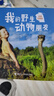 我的野生動(dòng)物朋友 全新完整版 幼兒圖書 早教書 故事書 兒童書籍 我的野生動(dòng)物朋友 全新完整版 曬單實(shí)拍圖