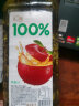 汇源果汁100%苹果汁2000ml*1瓶实惠桶装2L尝鲜装 实拍图