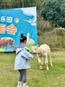 EBAER兒童專業(yè)沖鋒外套男女童可拆卸三合一上衣防風(fēng)登山服 天青藍 130 曬單實拍圖