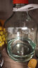 九江双蒸 米香型白酒 43度浸泡酒5.1L 米酒浸泡青梅药材养生酒送礼白酒 实拍图