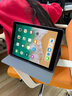tople 適用蘋(píng)果ipad Pro保護套9.7/10.5英寸iPad pro平板皮套全包邊可愛(ài)軟殼 金陵孔雀 ipad Pro 9.7英寸 曬單實(shí)拍圖