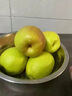 京橙美錦【順豐速運】新疆庫爾勒香梨新鮮當季梨子水果孕婦酥脆梨特產(chǎn)禮盒 一級香梨5斤【單果100-120g】禮盒 曬單實(shí)拍圖