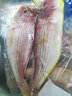 二三王牛 湛江新鮮線魚海鮮水產(chǎn)海釣海魚冷凍紅杉魚鮮活紅三魚金絲魚 超大號(hào)500g(1-3條) 新鮮(3斤裝) 曬單實(shí)拍圖
