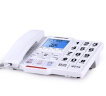 中诺（CHINO-E）C219电话机座机老人办公家用大声音大铃声大按键固定电话语音报号 白色 实拍图