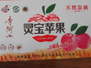 農鮮淘靈寶蘋(píng)果 新鮮水果河南特產(chǎn)靈寶脆甜紅富士寺河山高原高山平安果 15枚 禮盒裝 果徑85-90mm 曬單實(shí)拍圖