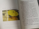 有美一朵，向晚生香（精裝紀(jì)念版） 曬單實拍圖