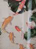 如衍九魚(yú)圖玄關(guān)裝飾畫(huà)新中式走廊過(guò)道盡頭掛畫(huà)高檔入戶(hù)正對門(mén)新款壁畫(huà) A-年年有魚(yú) 60*120晶瓷平面-鋁合金邊框 曬單實(shí)拍圖