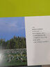 黑背信天翁與風(fēng)是好朋友(用攝影講述動物世界里的感人親情故事。) 曬單實拍圖