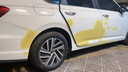 SEBA 原裝WARTE瓦爾特噴槍3000汽車噴漆槍上壺鈑金油漆槍S30S40高霧化 原裝WARTE S10上壺1.3口徑 曬單實拍圖