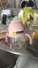 babycare小企鵝學(xué)飲杯 兒童吸管式水杯 兒童防漏防摔帶手柄喝奶瓶含重力球 【升級款】240ml萊莎粉PPSU 升級 曬單實(shí)拍圖
