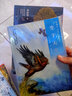 椋鳩十經(jīng)典世界動物小說 愛藏本8：野性的呼喚 曬單實拍圖