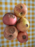 沙窝曙光陕西洛川红富士苹果水果新鲜脆甜冰糖心时令应季丑苹果水果礼盒 带箱9.5斤70-80mm（净重8.5斤） 实拍图