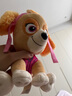 汪汪隊立大功（PAW PATROL）汪汪隊毛絨玩具狗狗天天玩偶公仔娃娃擺件男女孩生日禮物 經(jīng)典款-天天公仔【需選尺寸】 中號-坐高22.9CM 曬單實拍圖