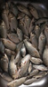 龍寶來（LONGBAOLAI） 龍寶來冬季防水防刺保暖釣魚手套防寒防滑加厚飛磕露三指手套路亞抓魚手套 黑+紅 曬單實拍圖