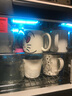 德瑪仕（DEMASHI）茶杯消毒柜辦公室小型消毒紫外線家用商用臺(tái)式迷你廚房茶杯茶具幼兒園消毒碗筷柜XDZ30D-3C 曬單實(shí)拍圖