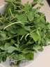 花農氏【順豐配送】草頭 上海本地農家三葉菜 新鮮蔬菜金花菜苜蓿草本地 1000g 曬單實(shí)拍圖