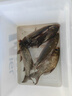 民間藝人蘆葦魚(yú)漂套裝加粗醒目高靈敏陳年蘆葦浮漂套裝+桐木盒 野釣一套搞定八支套裝 曬單實(shí)拍圖