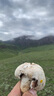 山約山約充氣帳篷雨披戶外露營(yíng)棉布專用防雨防風(fēng)遮陽(yáng)天幕雨罩 16平黑膠牛津布雨披 曬單實(shí)拍圖