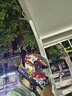 Tanked Racing坦克摩托車頭盔T127全盔國潮安全帽3C機車雙鏡片電動車防風(fēng)男女 熒光鮮紅-招財貓 XXL（適合頭圍58-59cm） 曬單實拍圖