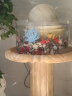 HIDOM鱼缸造景仿真珊瑚水族箱造景鱼缸装饰品摆件假山贝壳造景石头用品 珊瑚铁树 实拍图
